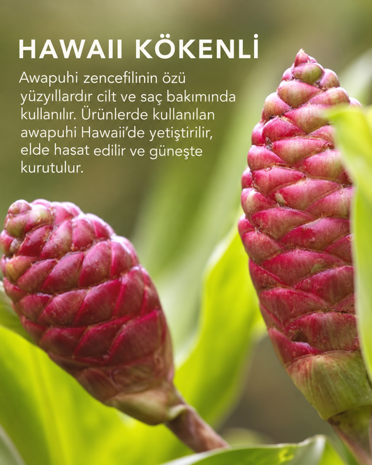 Awapuhi Wild Ginger HydraTriplex™ Treatment Yoğun Nem Bakımı 4 x 10 ml