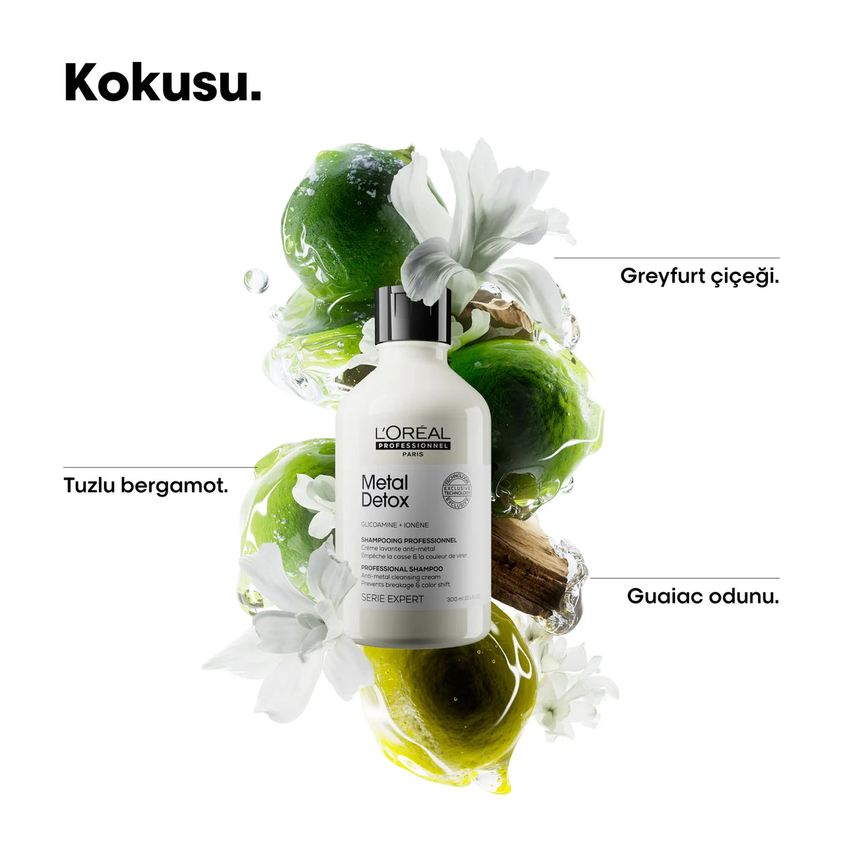L'Oréal Professionnel Metal Detox Şampuan 300 ml image 3