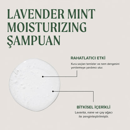 Paul Mitchell Tea Tree Lavender Mint Moisturizing Nemlendirici Şampuan 1000 ml