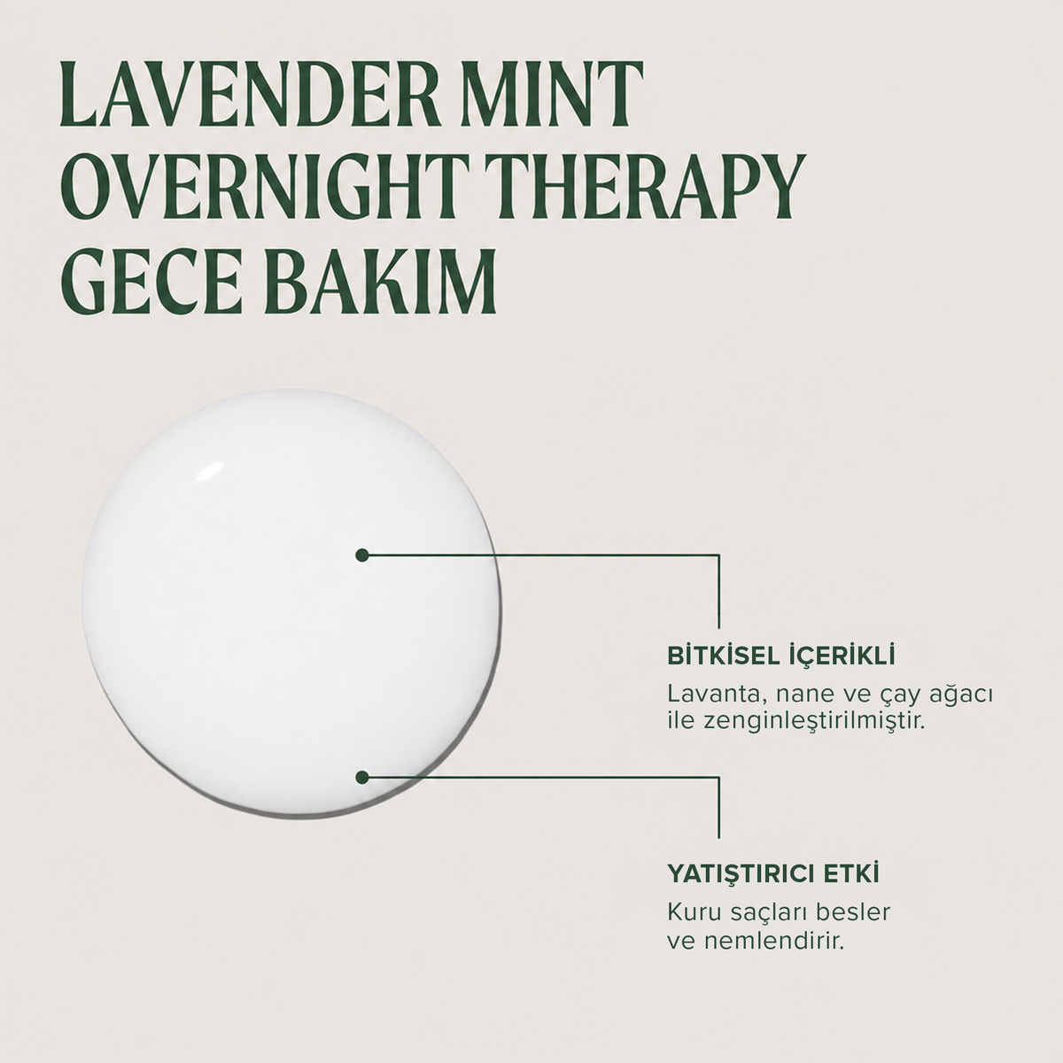 Tea Tree Lavender Mint Overnight Moisture Therapy Gece Bakım Kremi 100 ml